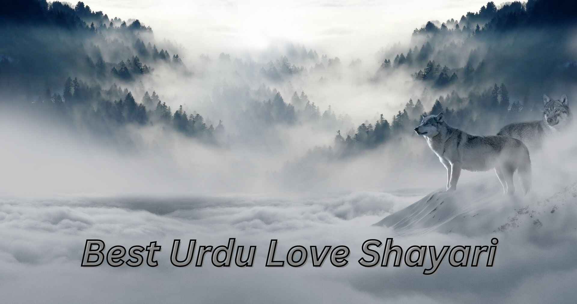 Best Urdu Love Shayari