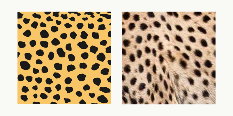 Cheetah Print vs Leopard Print